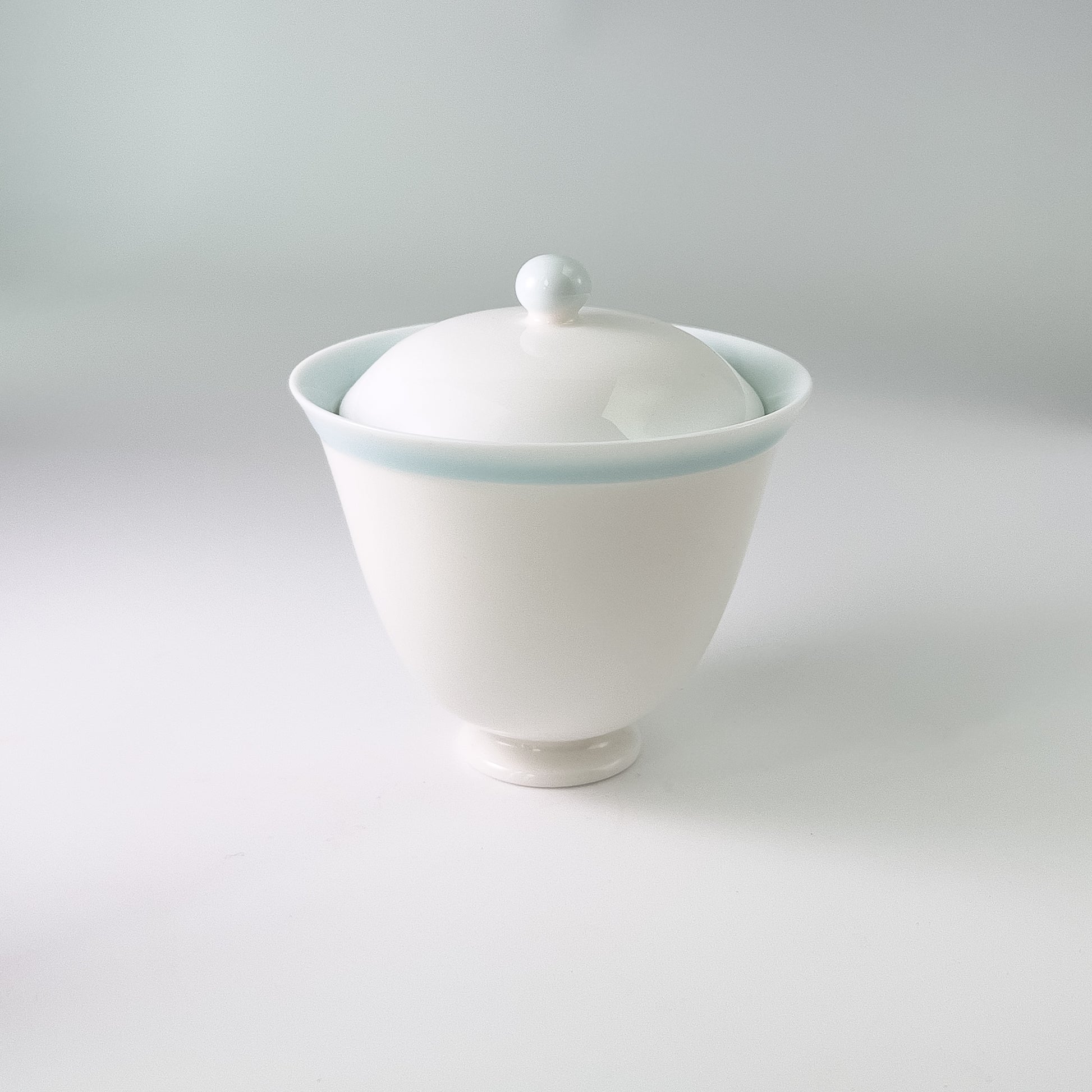 White Porcelain Gaiwan Tea Set - With Travel Bag