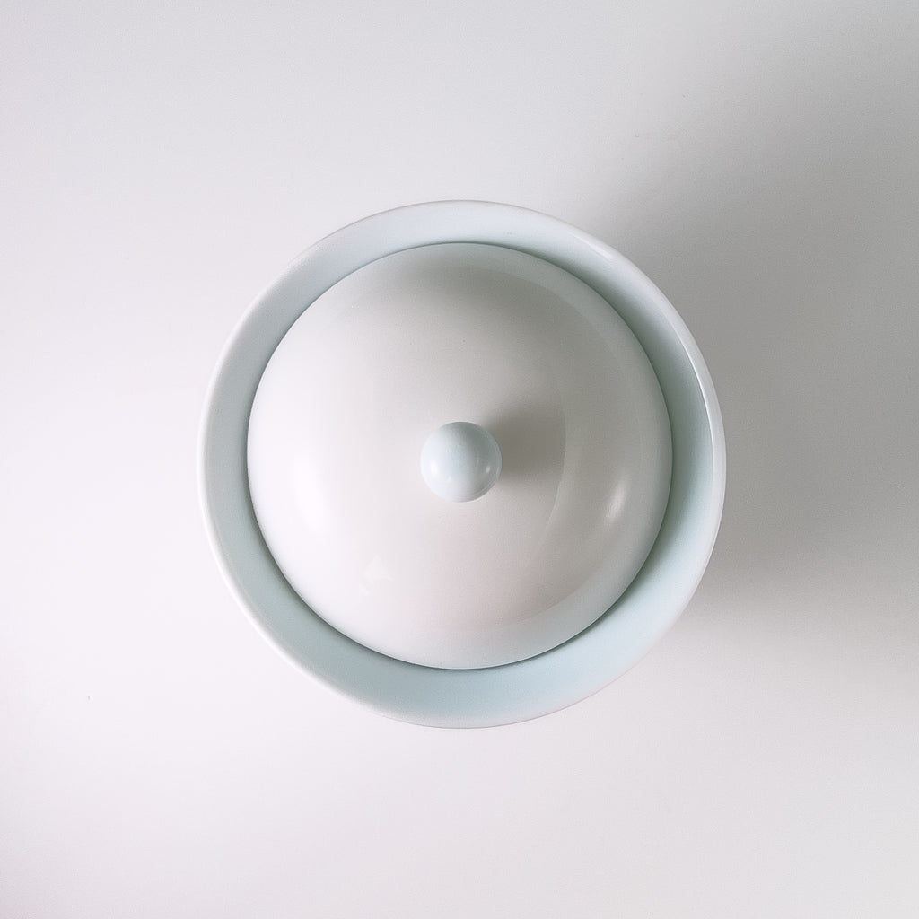 White Porcelain Gaiwan Tea Set - With Travel Bag