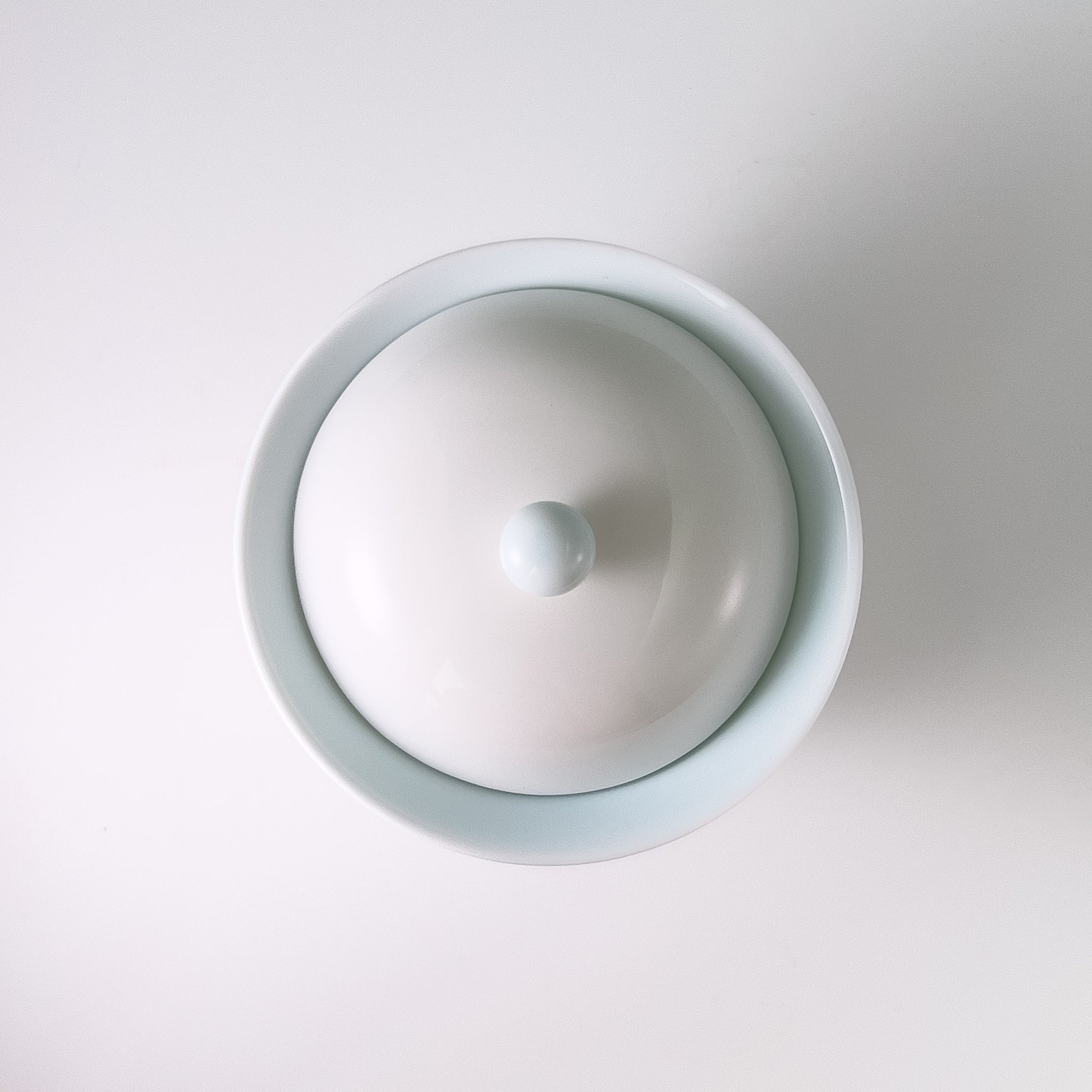 White Porcelain Gaiwan Tea Set - With Travel Bag