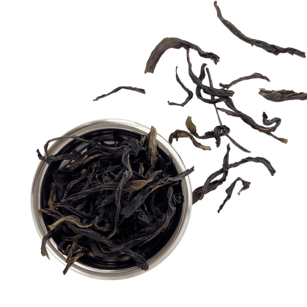 Ya Shi Xiang (Duck Shit Aroma) Oolong | Lightly Roast | Phoenix (Fenghuang) Dancong Tea