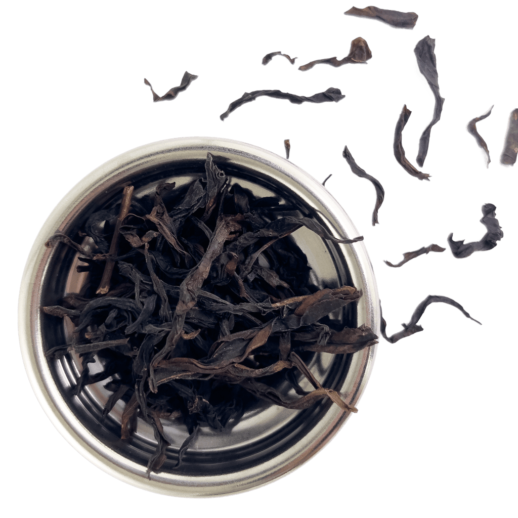 Ya Shi Xiang (Duck Shit Aroma) Oolong | Medium Roast | Phoenix (Fenghuang) Dancong Tea