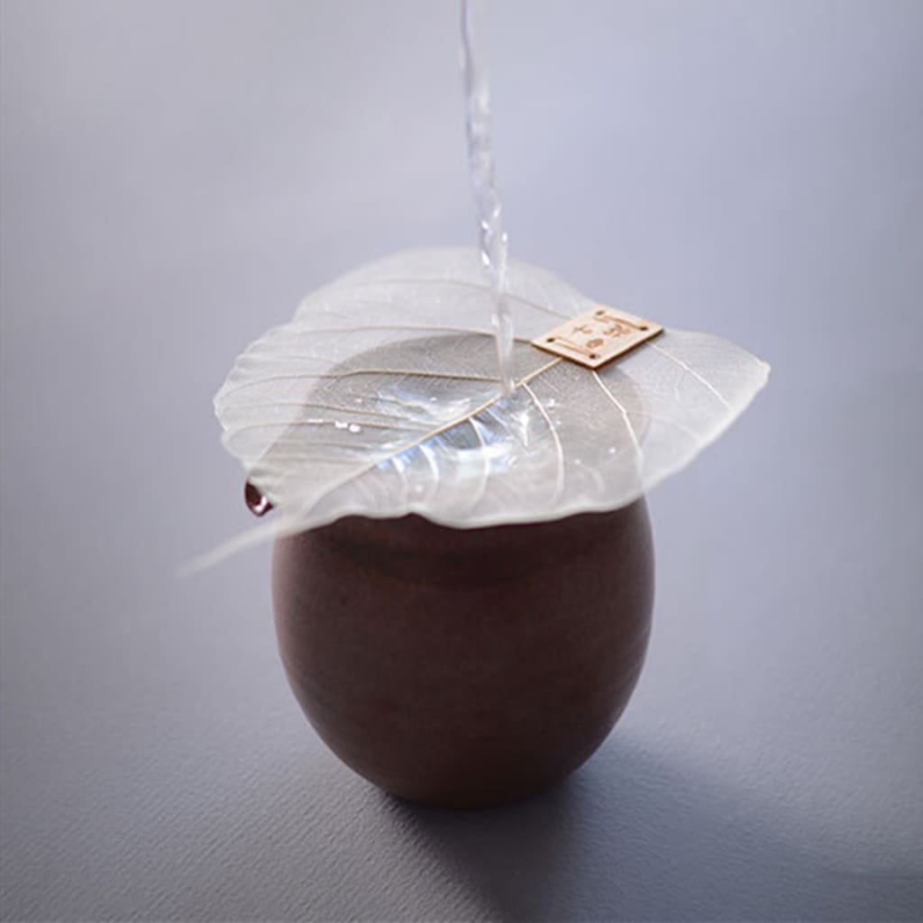 Pouring Water Through the Natural Ficus Religiosa Leaf On A Tea Cup