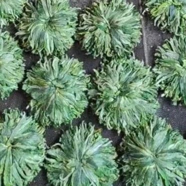 Huangshan Green Peony
