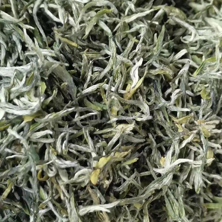 Xinyang Maojian